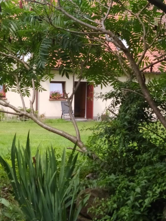 Agroturystyka Owczarnia Villa Kętrzyn Dış mekan fotoğraf