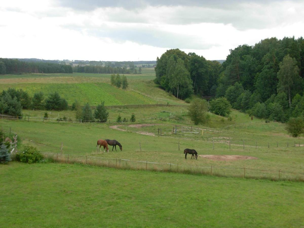 Agroturystyka Owczarnia Villa Kętrzyn Dış mekan fotoğraf